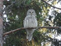 post-9336-0-06166000-1335017608_thumb.jp