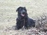 post-4401-0-87367600-1365270111_thumb.jp