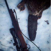 post-12305-0-86544900-1429297205_thumb.p