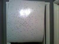 post-16336-0-00650900-1429655802_thumb.j