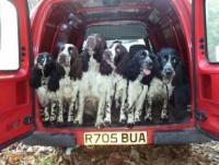 post-3128-0-36094400-1429988502_thumb.jp