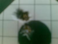 post-703-1273871687_thumb.jpg