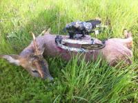 post-1746-0-64819400-1305969853_thumb.jp