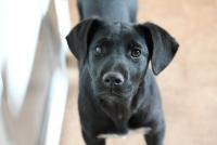 post-2573-0-20259000-1305204696_thumb.jp