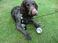 post-3031-0-24869600-1306681324_thumb.jp