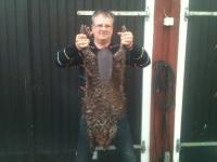 post-3165-0-94667100-1305202361_thumb.jp