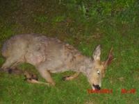 post-3894-0-30387200-1305404142_thumb.jp