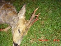 post-3894-0-45157000-1305404134_thumb.jp