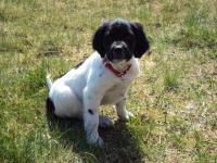 post-7649-0-12778000-1305225582_thumb.jp