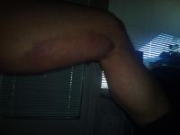 post-906-0-51495100-1305187212_thumb.jpg