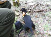 post-10445-0-51058400-1336593796_thumb.j