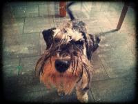 post-2578-0-26051400-1335942368_thumb.jp