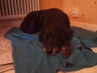 post-4432-0-00295800-1338408329_thumb.jp