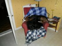 post-4432-0-05120200-1338479410_thumb.jp