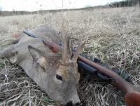 post-9336-0-45866200-1335992241_thumb.jp