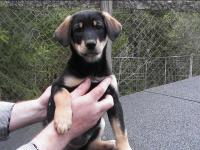 post-14039-0-50491800-1368894728_thumb.j