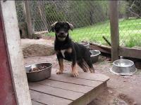 post-14039-0-76209600-1368894708_thumb.j