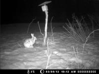 post-5858-0-90530800-1367609575_thumb.jp