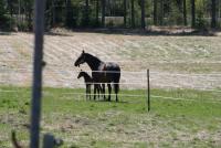 post-6378-0-85981500-1368614926_thumb.jp