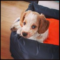 post-15085-0-66586200-1399032645_thumb.j