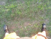 post-15829-0-91238100-1401220302_thumb.j