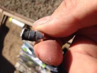 post-3288-0-41341800-1398971061_thumb.jp