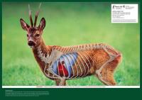 post-8252-0-15745000-1400229300_thumb.jp