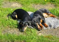 post-10445-0-35017400-1432668594_thumb.j