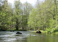 post-11533-0-02497400-1432324491_thumb.j