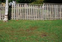 post-16887-0-51507300-1462417952_thumb.j