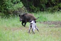 post-16887-0-81460900-1462507862_thumb.j