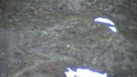 post-144-1213204782_thumb.jpg
