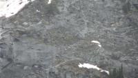 post-144-1213204966_thumb.jpg