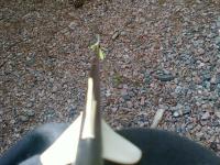post-1171-1244402266_thumb.jpg