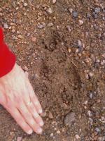 post-2176-1276106496_thumb.jpg