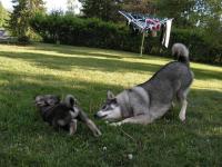 post-1198-0-97811700-1340863410_thumb.jp