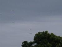 post-4401-0-89734800-1340998748_thumb.jp