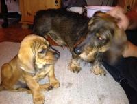 post-11331-0-08785800-1371818362_thumb.j