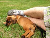 post-11331-0-38477300-1371818403_thumb.j