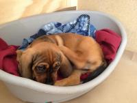 post-11331-0-51111000-1371818328_thumb.j