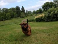 post-11331-0-60449700-1371818419_thumb.j