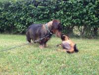 post-11331-0-84799500-1371818344_thumb.j