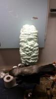 post-14396-0-70910700-1370559129_thumb.j