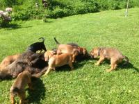 post-4285-0-02529200-1370965517_thumb.jp