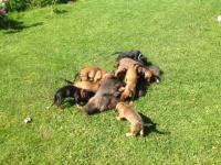 post-4285-0-24610100-1370965538_thumb.jp