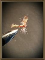 post-11533-0-19588400-1403476141_thumb.j