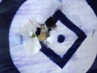 post-14553-0-26271600-1403186001_thumb.j