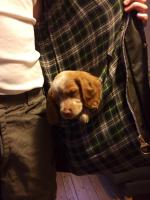 post-15793-0-79470400-1401731247_thumb.j