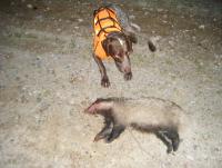 post-4401-0-38205000-1404160923_thumb.jp