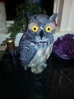 post-5975-0-03831900-1404057144_thumb.jp